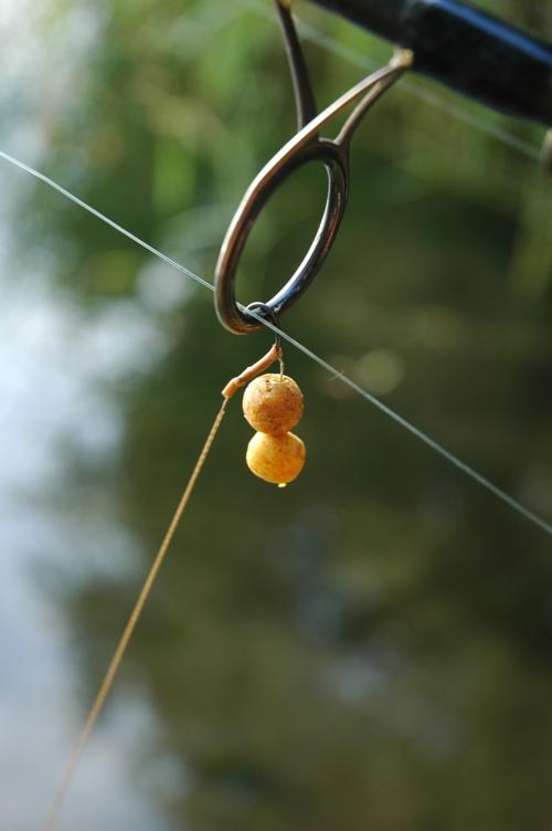 sbs tactical bait products - sbs-baits-logbuch-no-14-1.jpg